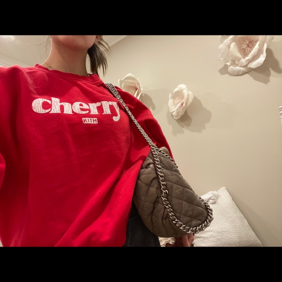 CHANEL washed lamb skin chain around hobo grey - Picture 7 of 9